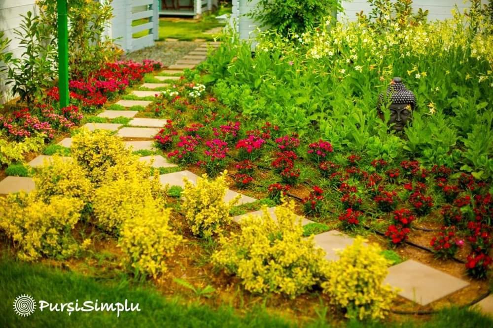 Pur Si Simplu Adults Only Hotel Vama Veche Exterior foto